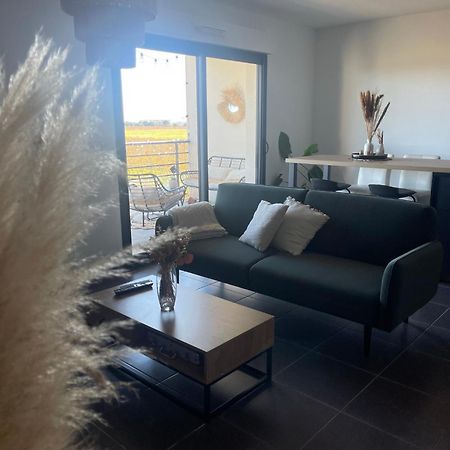 Appartement Vue Vigne 페르피냥 외부 사진