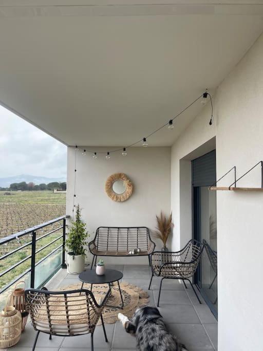 Appartement Vue Vigne 페르피냥 외부 사진