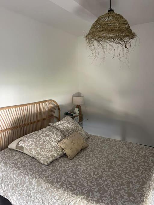 Appartement Vue Vigne 페르피냥 외부 사진
